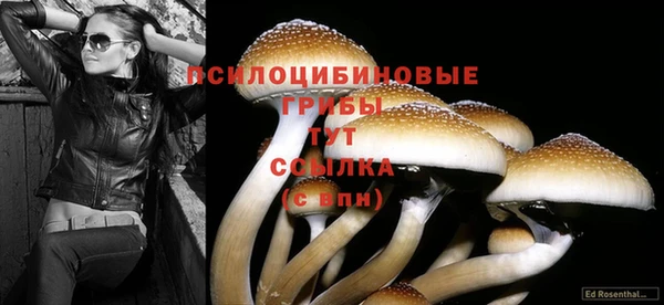 2c-b Богданович