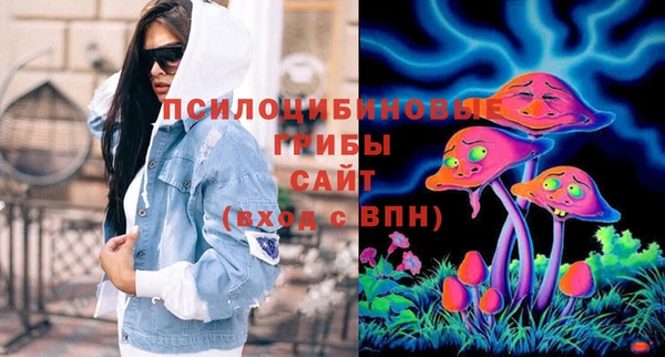 прущие крисы Белокуриха