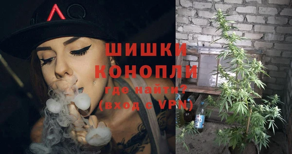 прущие крисы Белокуриха