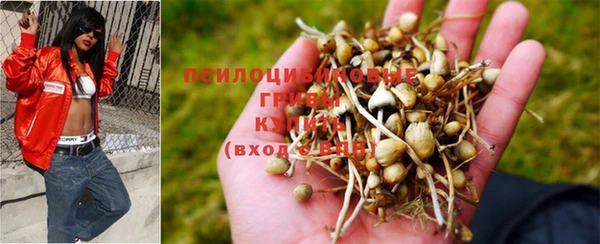 МДПВ Белоозёрский